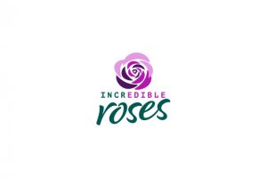 incredible roses